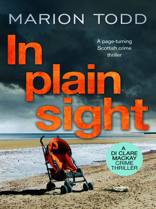 Title details for In Plain Sight by Marion Todd - Available